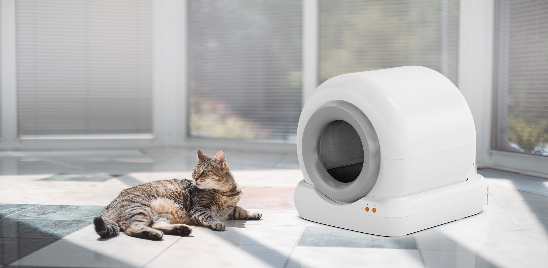 Нинбо Meace Pet Products Co., Ltd.