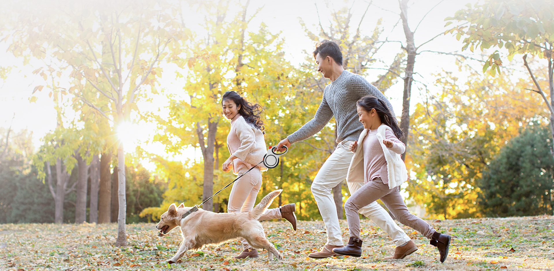 Нинбо Meace Pet Products Co., Ltd.